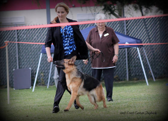 img_2447-001web.jpg