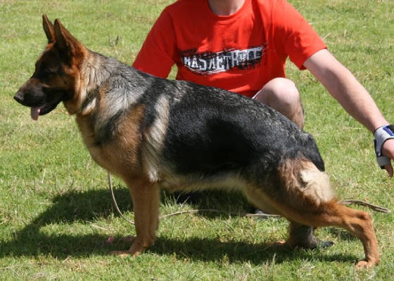 kessy2010webcrop.jpg